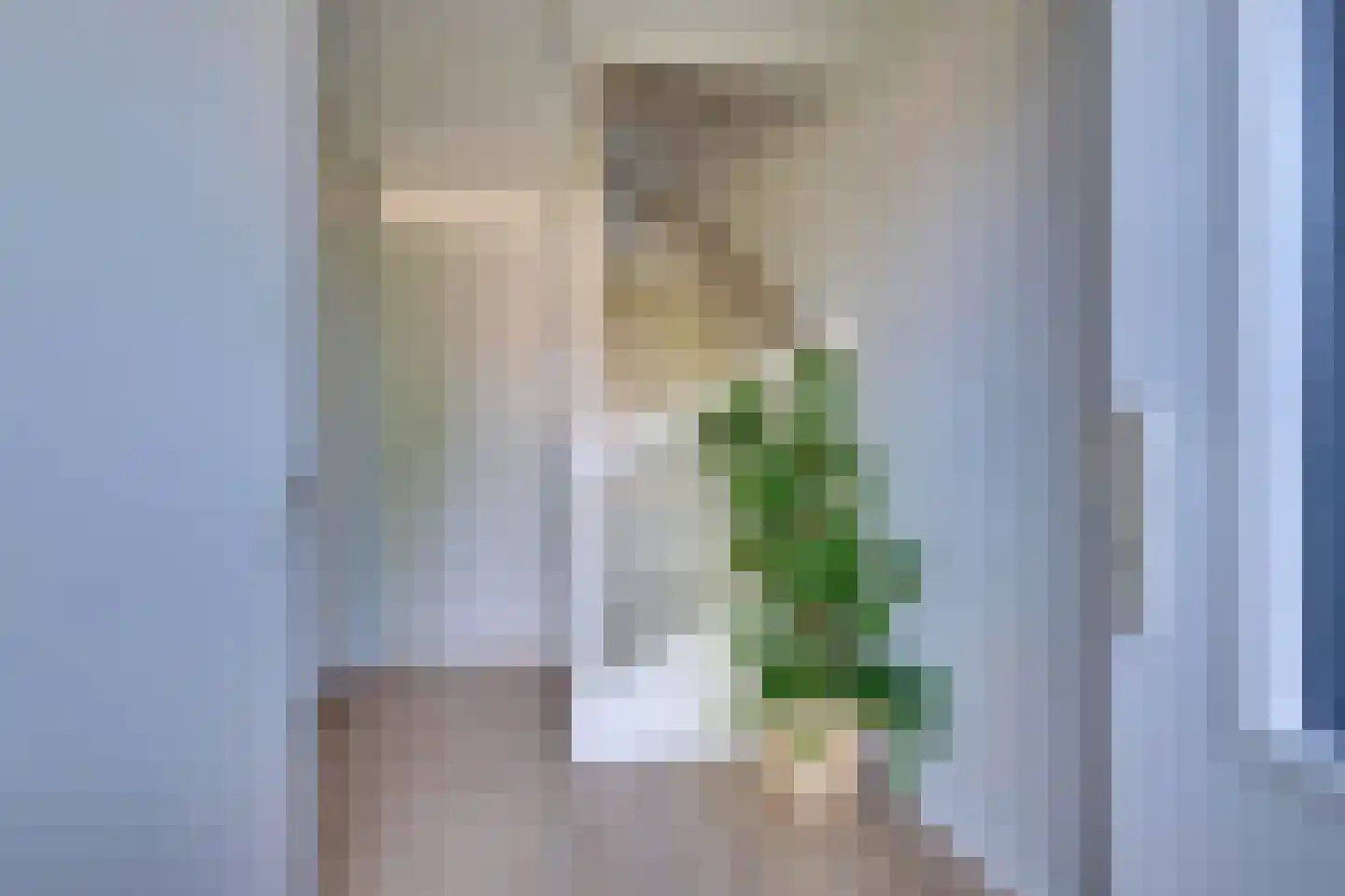 Dijkmanshof 6 Tolkamer thumbnail 6