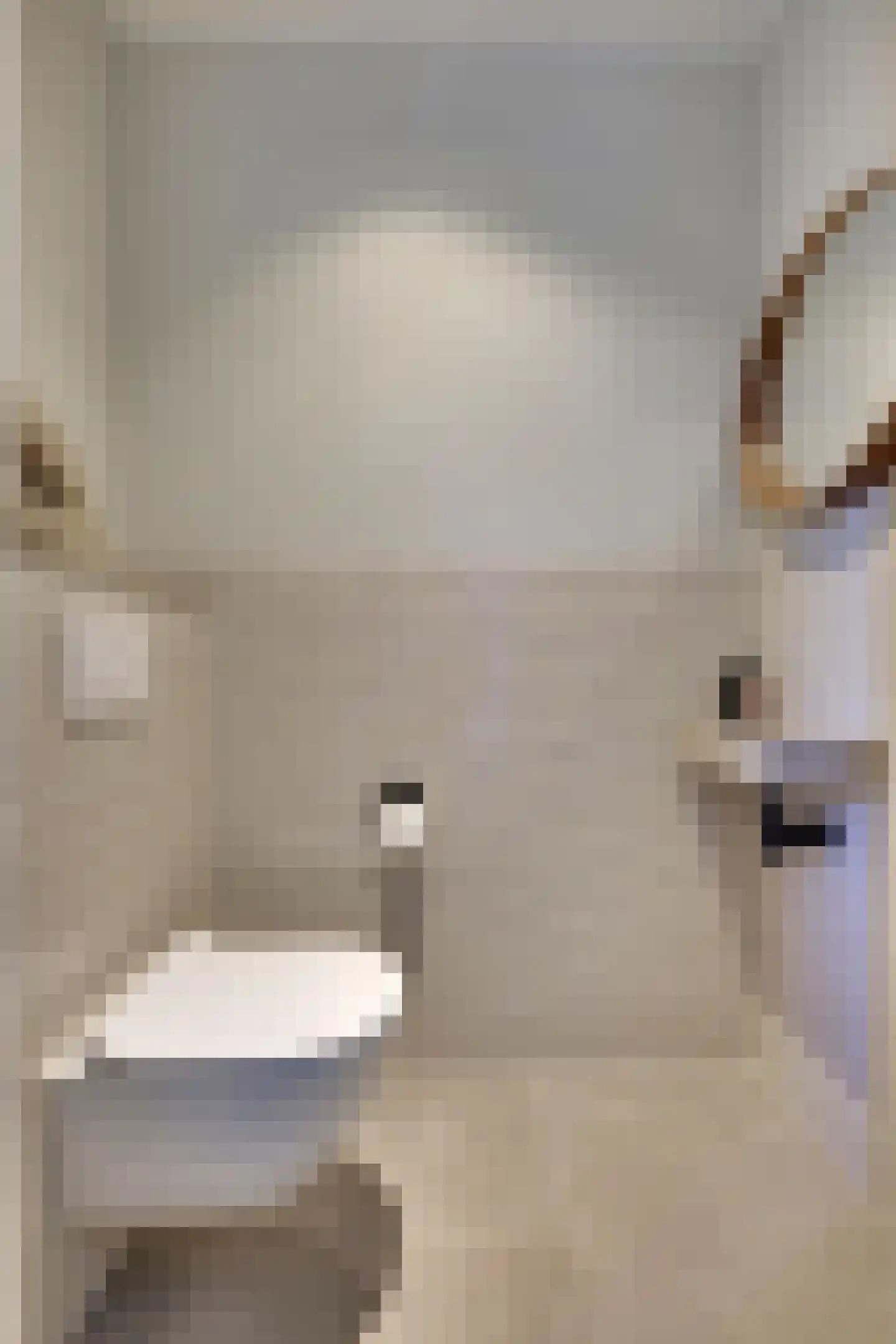 Dijkmanshof 6 Tolkamer thumbnail 8