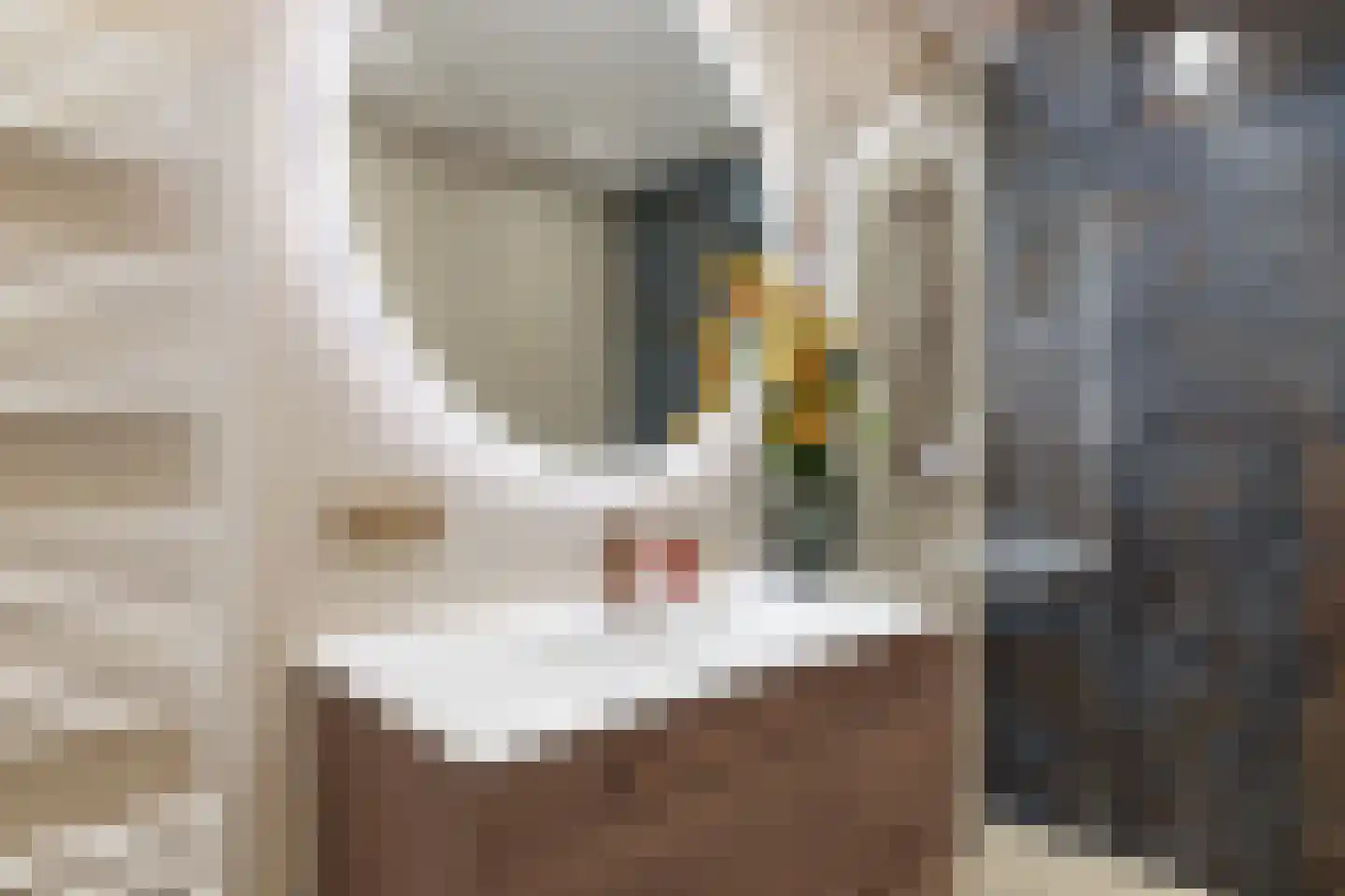 Dijkmanshuizenstraat 138 Amsterdam thumbnail 34