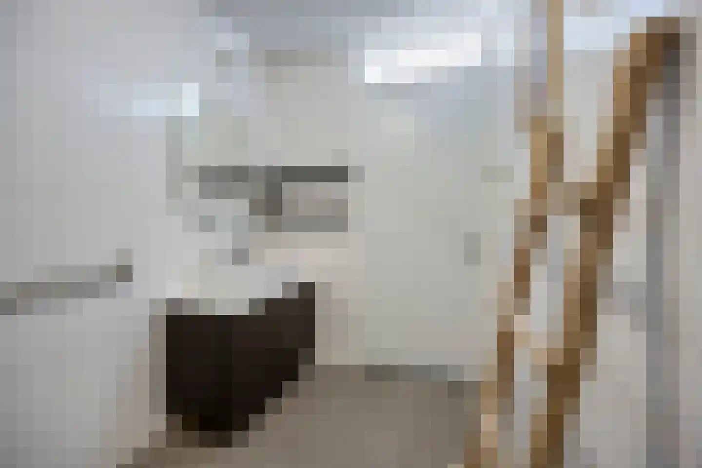 Dijkmanshuizenstraat 22 Amsterdam thumbnail 11