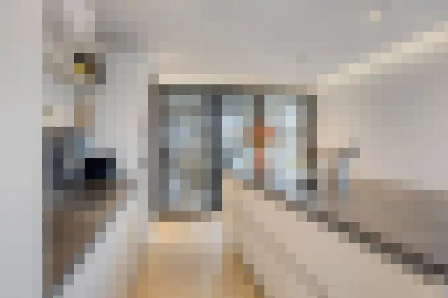 Dijkmanshuizenstraat 279 Amsterdam thumbnail 15