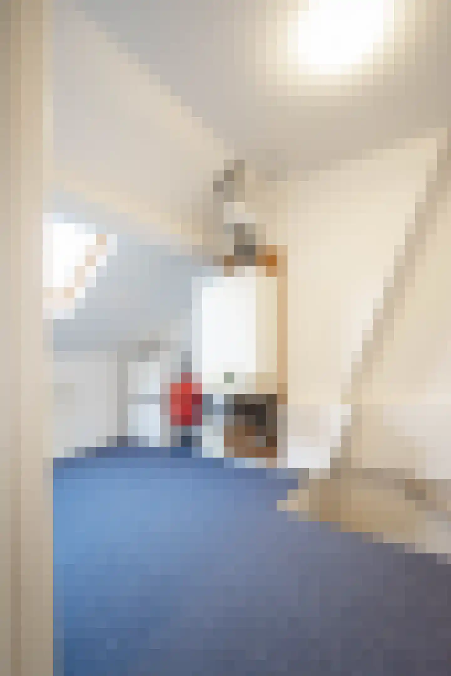 Dijkmanstraat 40 Aarle-Rixtel thumbnail 33