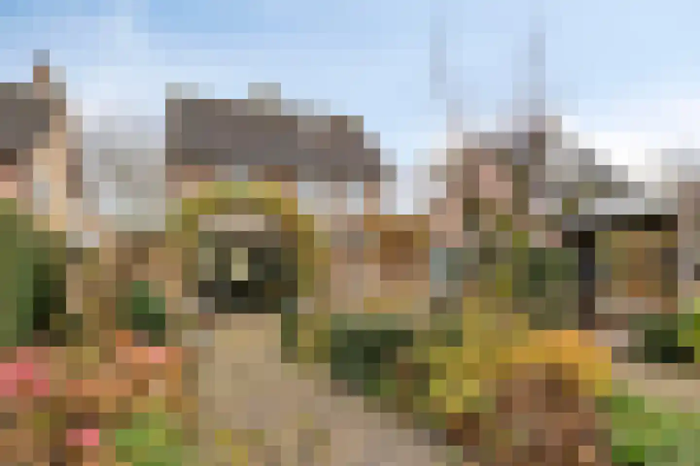 Dijkmanstraat 7 Aarle-Rixtel thumbnail 32