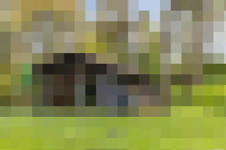 Dijkmansweg 4 H2 Laren