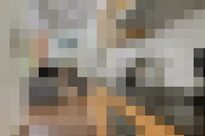 Dijkmansweg 4 H2 Laren thumbnail 11