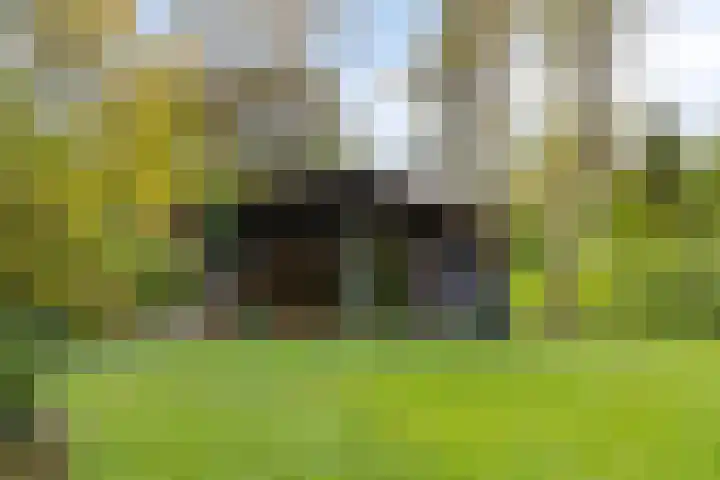 Dijkmansweg 4 H2 Laren foto 2