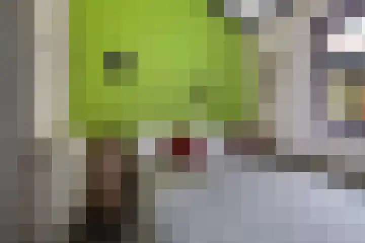 Dijkmansweg 4 H2 Laren thumbnail 22