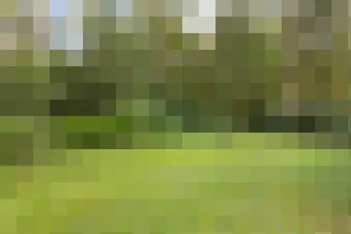 Dijkmansweg 4 H2 Laren foto 3
