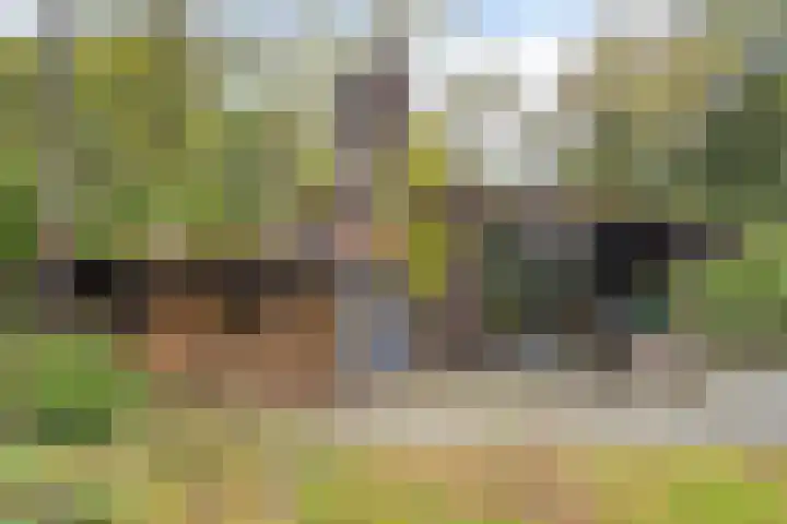 Dijkmansweg 4 H2 Laren thumbnail 30