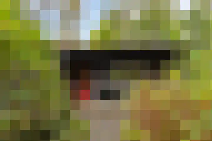 Dijkmansweg 4 H2 Laren thumbnail 32