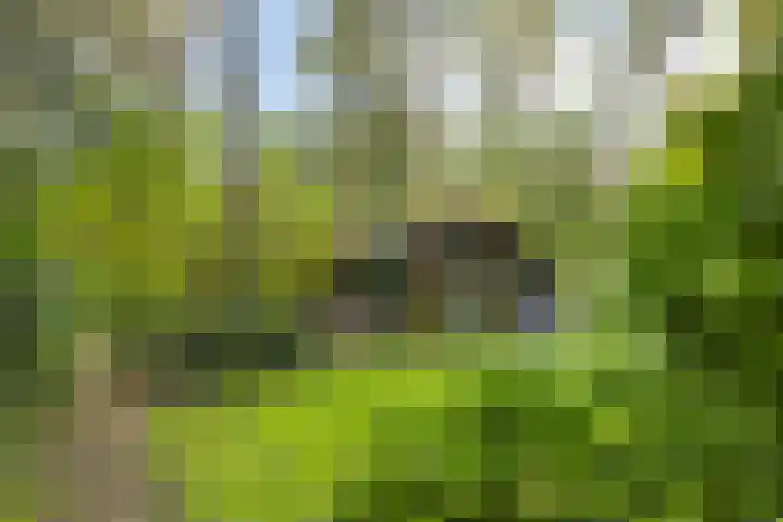 Dijkmansweg 4 H2 Laren thumbnail 33