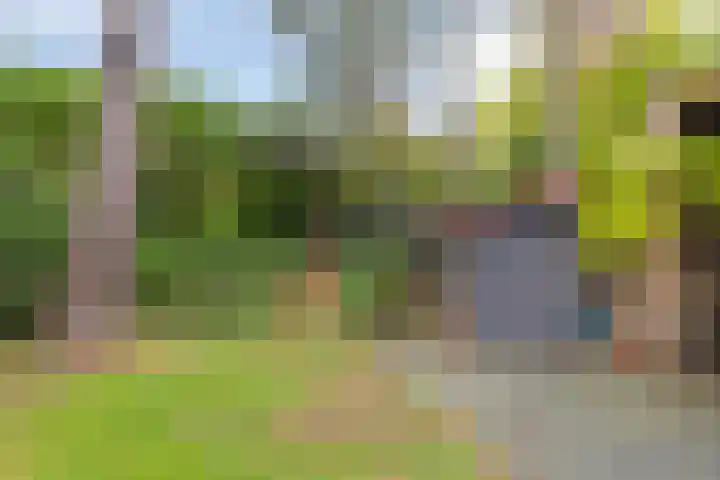 Dijkmansweg 4 H2 Laren thumbnail 34