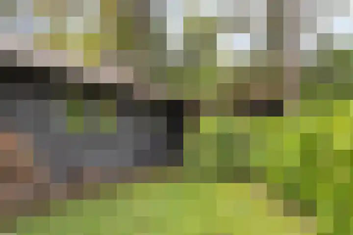 Dijkmansweg 4 H2 Laren thumbnail 35
