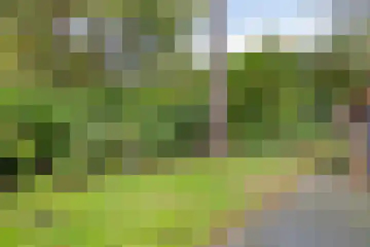 Dijkmansweg 4 H2 Laren thumbnail 36