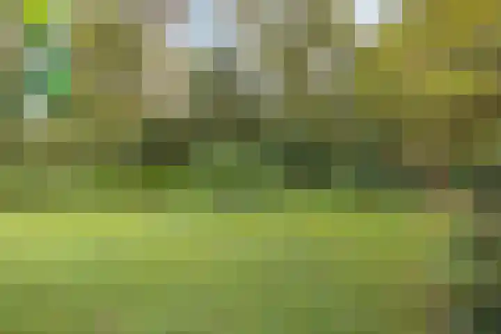 Dijkmansweg 4 H2 Laren thumbnail 37