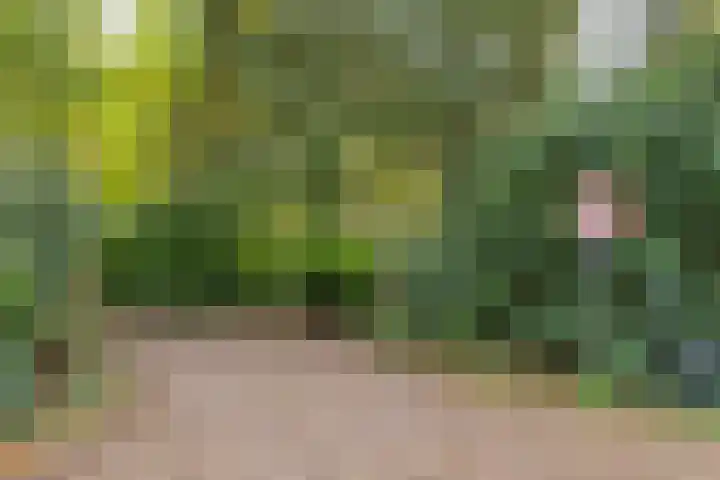 Dijkmansweg 4 H2 Laren thumbnail 38
