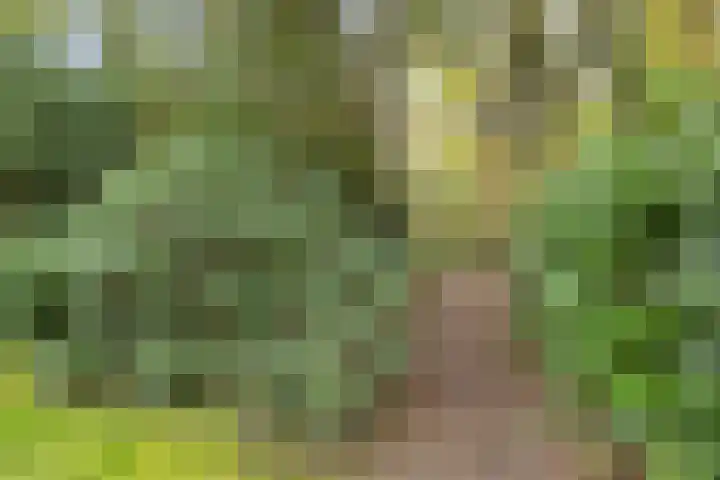 Dijkmansweg 4 H2 Laren thumbnail 39
