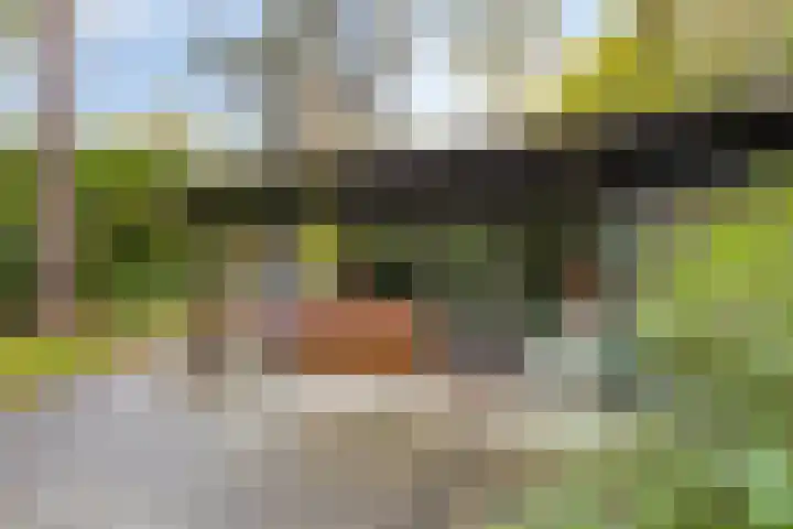 Dijkmansweg 4 H2 Laren thumbnail 4