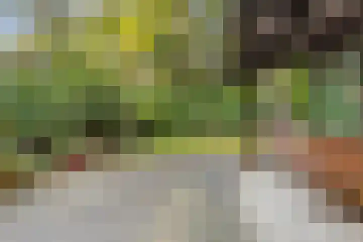 Dijkmansweg 4 H2 Laren thumbnail 5