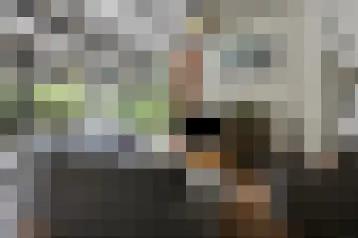 Dijkmansweg 4 H2 Laren thumbnail 6