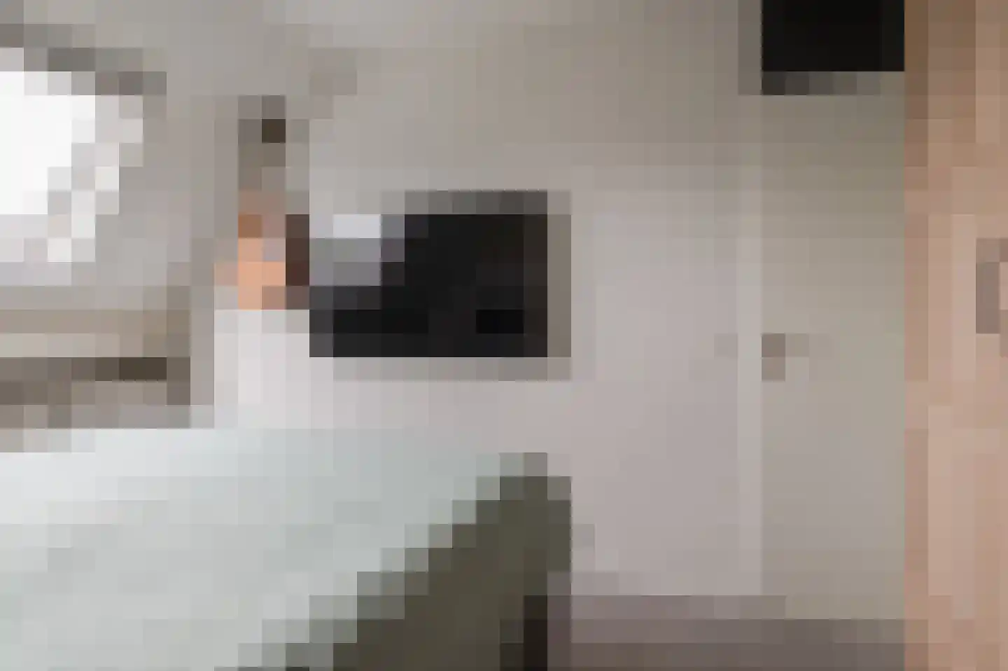 Dijkmanszoet 10 Geldermalsen thumbnail 11