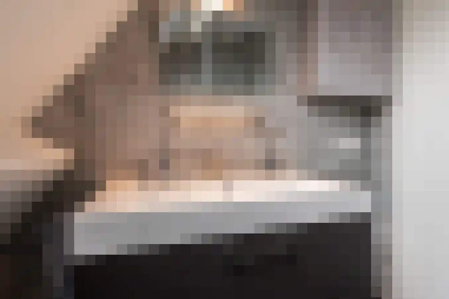 Dijkmanszoet 10 Geldermalsen thumbnail 16