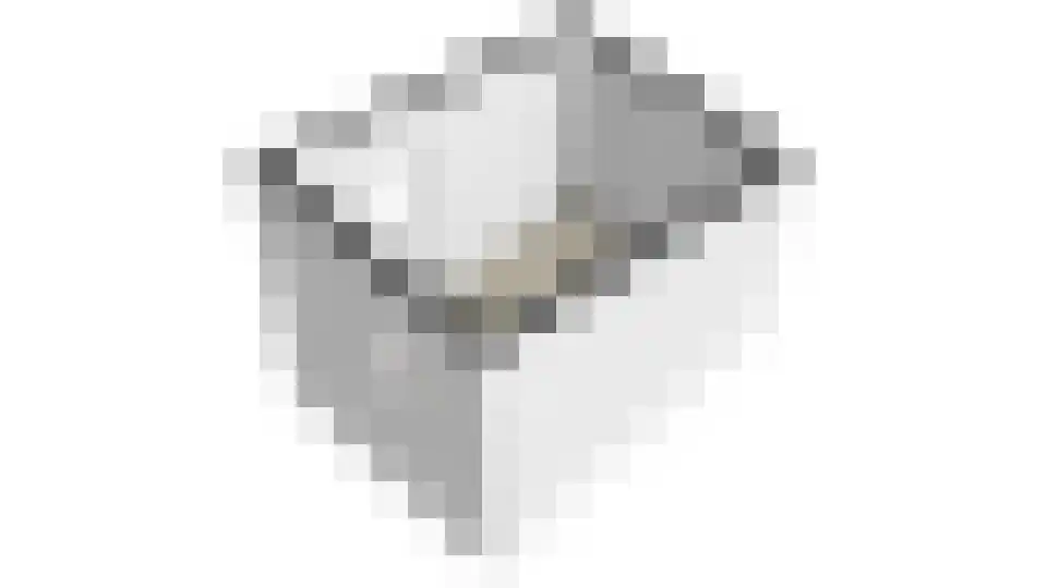 Dijkmanszoet 10 Geldermalsen thumbnail 35