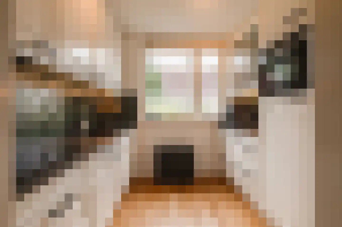 Dijkmanszoet 10 Geldermalsen thumbnail 5