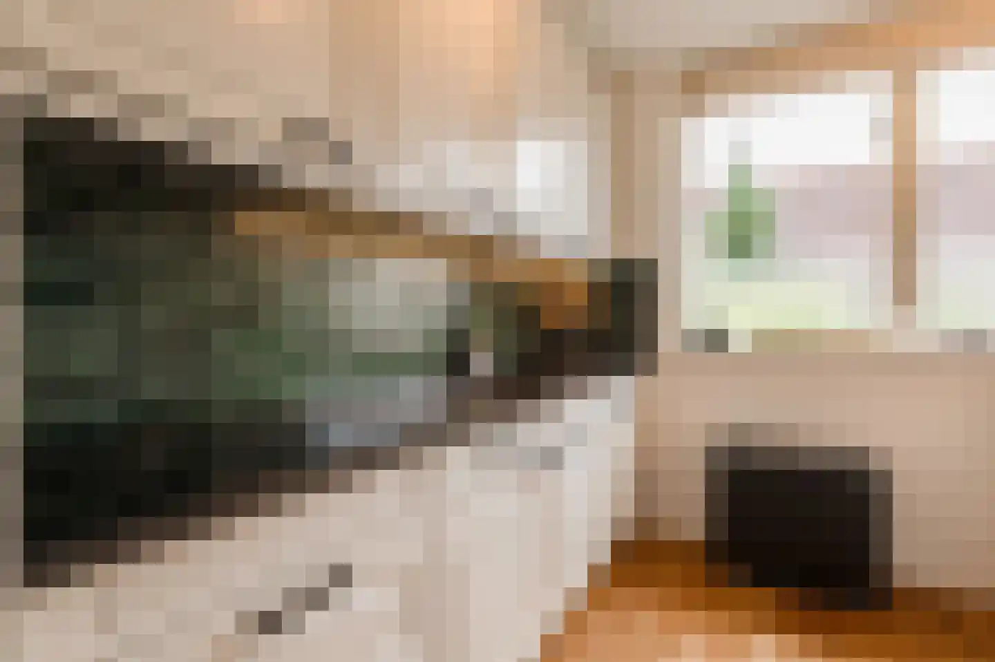 Dijkmanszoet 10 Geldermalsen thumbnail 6