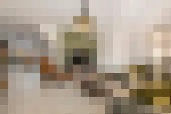 Dijkmanzoet 11 Tiel thumbnail 10
