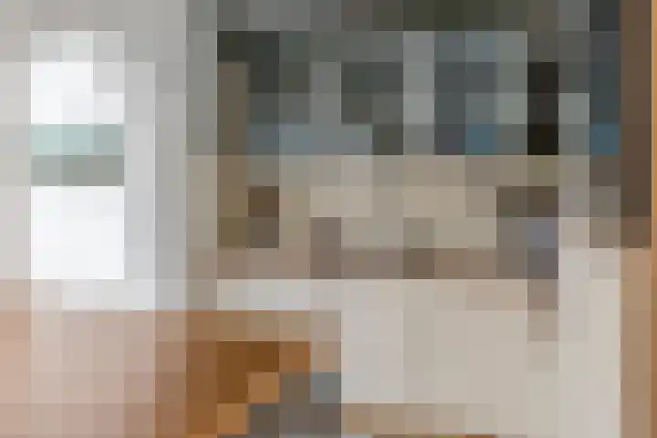 Dijkmanzoet 11 Tiel thumbnail 12