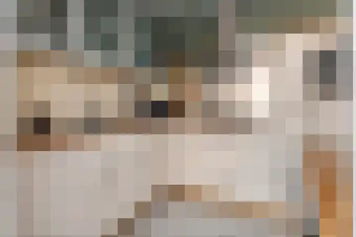 Dijkmanzoet 11 Tiel thumbnail 13