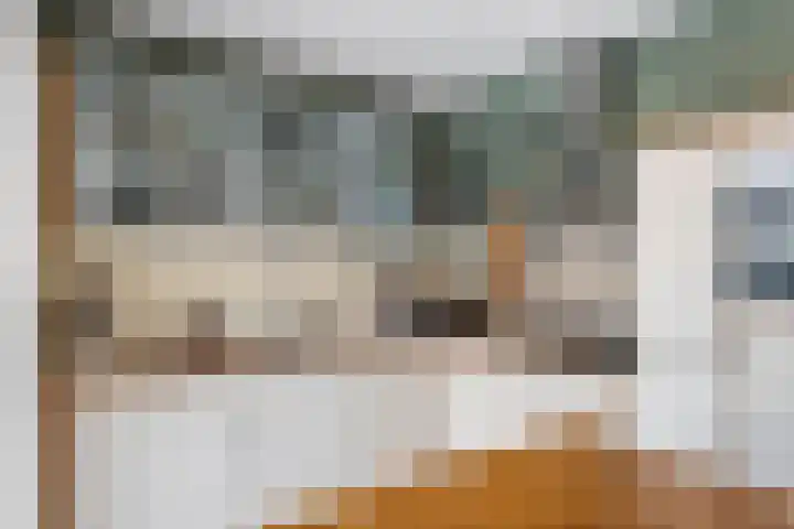 Dijkmanzoet 11 Tiel thumbnail 14