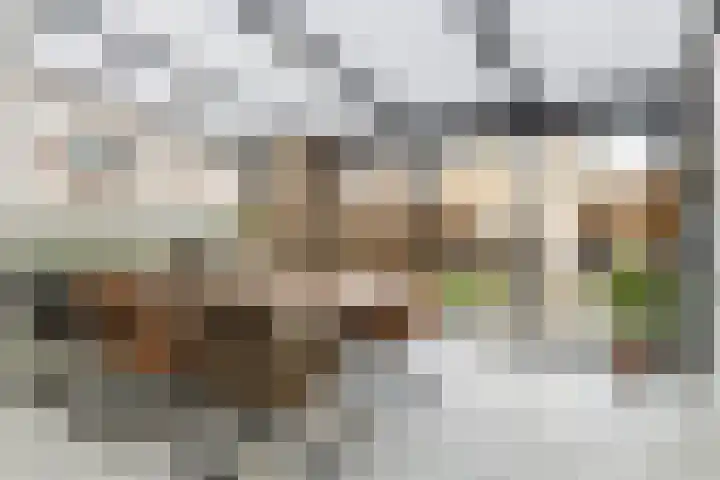 Dijkmanzoet 11 Tiel thumbnail 16