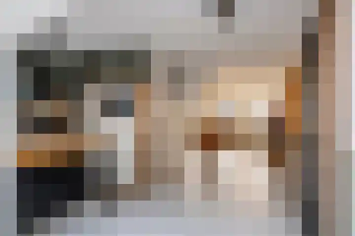 Dijkmanzoet 11 Tiel thumbnail 20