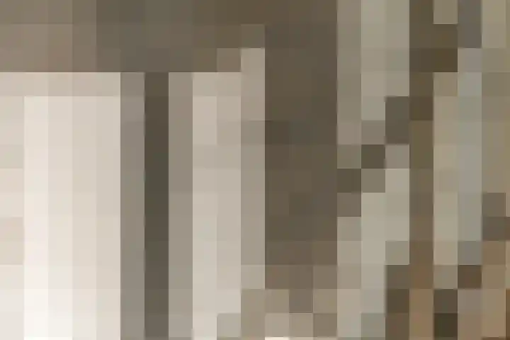 Dijkmanzoet 11 Tiel thumbnail 22