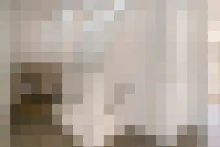 Dijkmanzoet 11 Tiel thumbnail 24