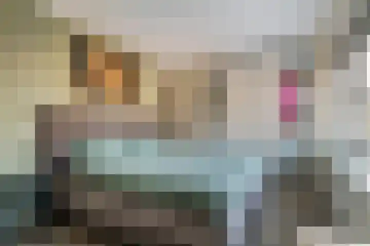 Dijkmanzoet 11 Tiel thumbnail 26