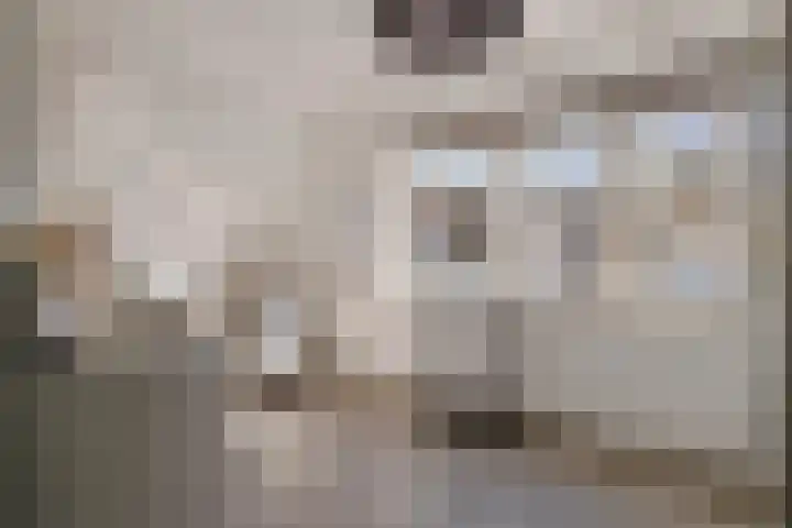 Dijkmanzoet 11 Tiel thumbnail 27