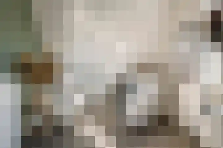 Dijkmanzoet 11 Tiel thumbnail 28