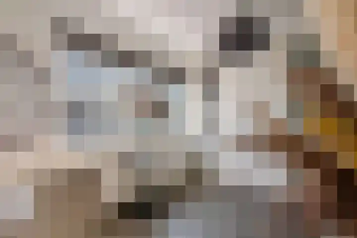Dijkmanzoet 11 Tiel thumbnail 29
