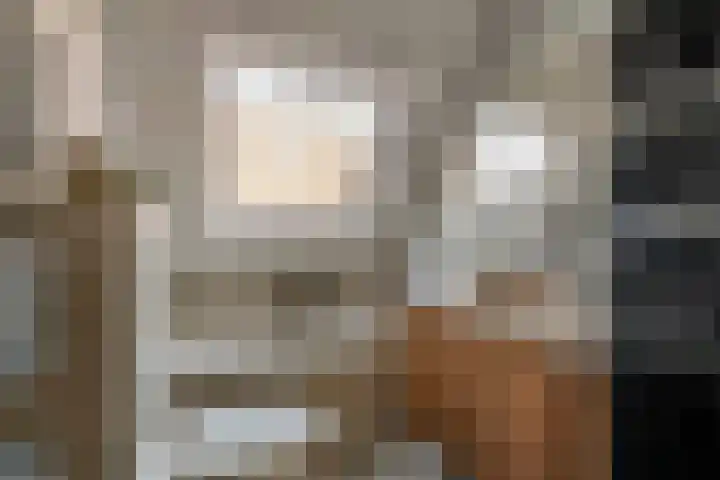 Dijkmanzoet 11 Tiel thumbnail 30