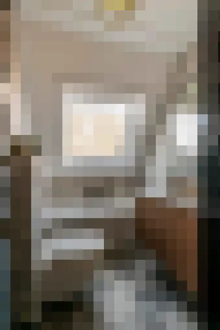 Dijkmanzoet 11 Tiel thumbnail 31