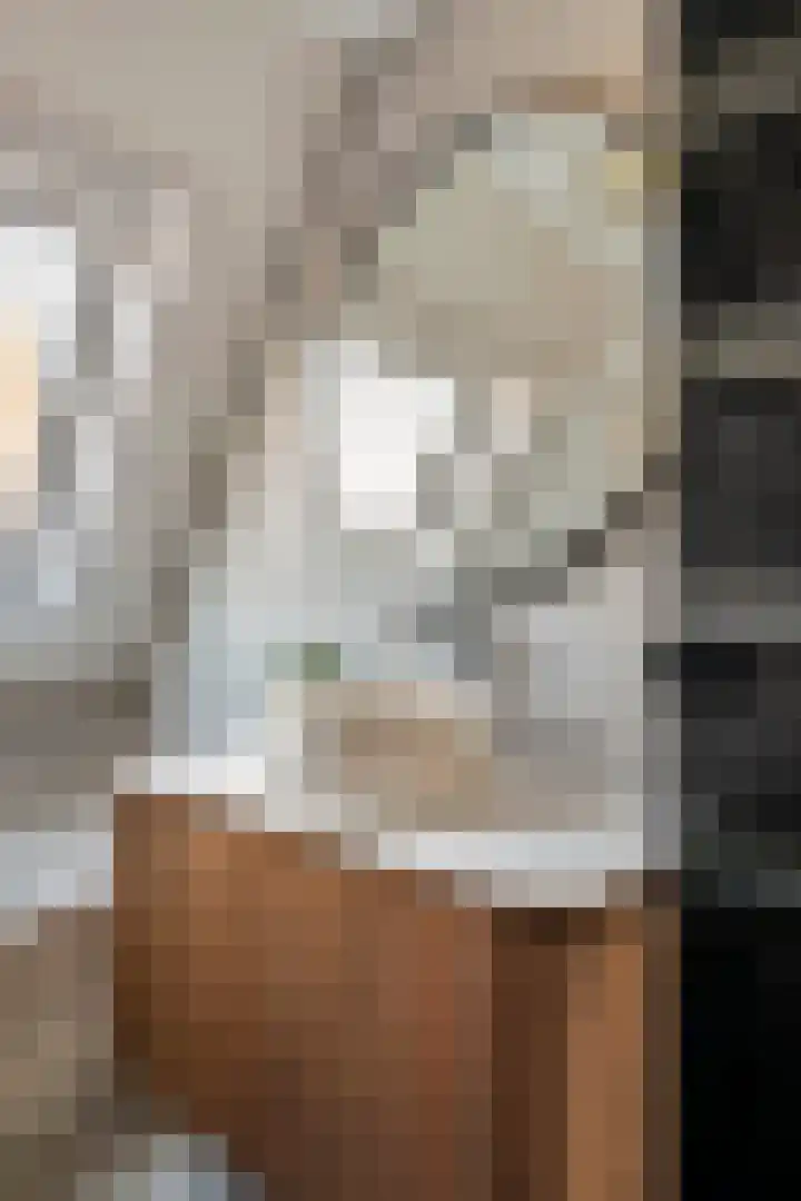 Dijkmanzoet 11 Tiel thumbnail 32