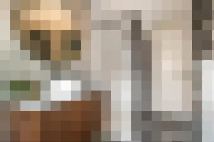 Dijkmanzoet 11 Tiel thumbnail 33