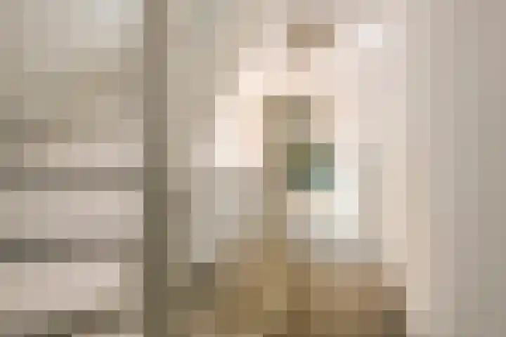 Dijkmanzoet 11 Tiel thumbnail 34