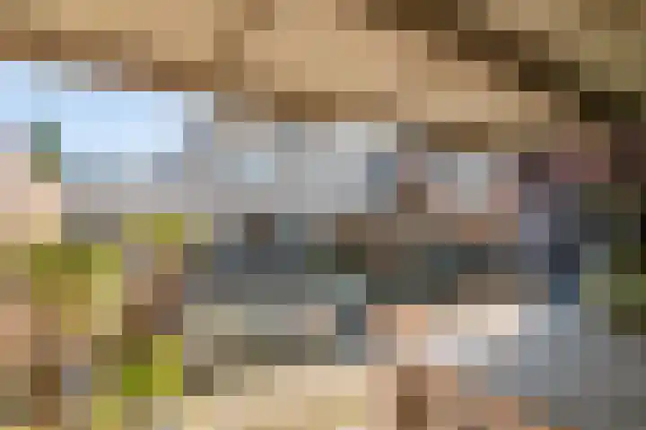 Dijkmanzoet 11 Tiel thumbnail 38