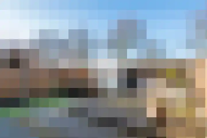 Dijkmanzoet 11 Tiel thumbnail 40
