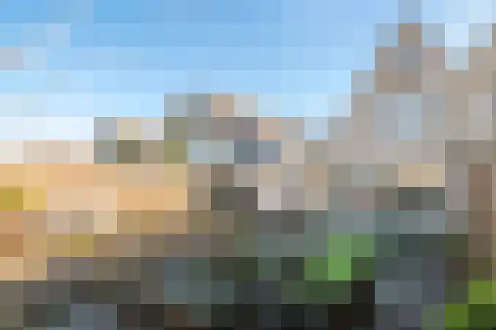 Dijkmanzoet 11 Tiel thumbnail 41