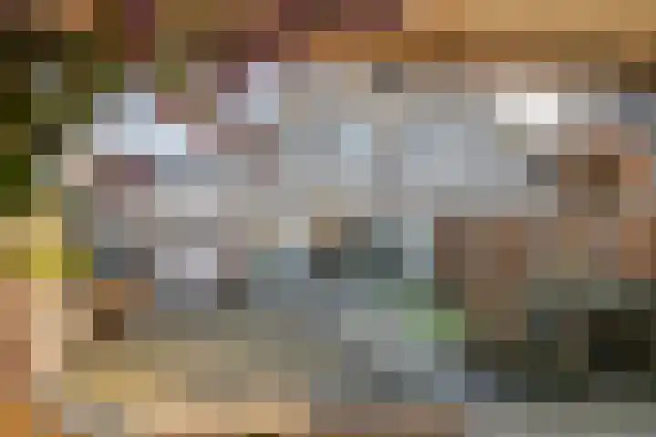 Dijkmanzoet 11 Tiel thumbnail 42